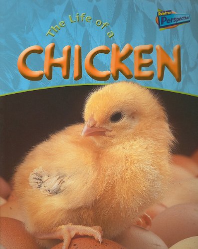 Life of a Chicken (Life Cycles) - Clare Hibbert - Książki - Raintree - 9781410909244 - 4 marca 2005