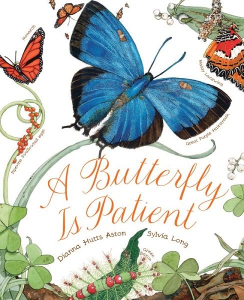 Cover for Dianna Hutts Aston · A Butterfly Is Patient (Paperback Book) (2015)