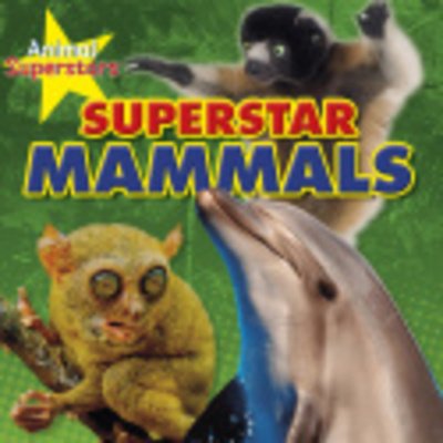 Cover for Louise Spilsbury · Mammal Superstars - Animal Superstars (Paperback Bog) (2019)