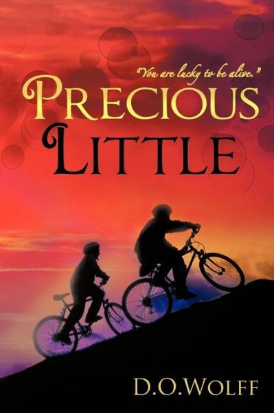Cover for D O Wolff · Precious Little (Pocketbok) (2012)