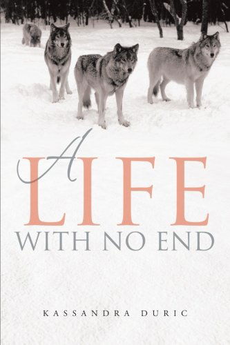 Cover for Kassandra Duric · A Life with No End (Paperback Book) (2013)