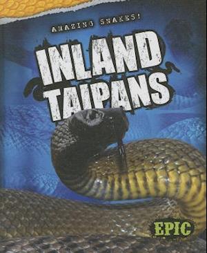 Cover for Chris Bowman · Inland Taipans (Amazing Snakes!) (Hardcover Book) (2014)