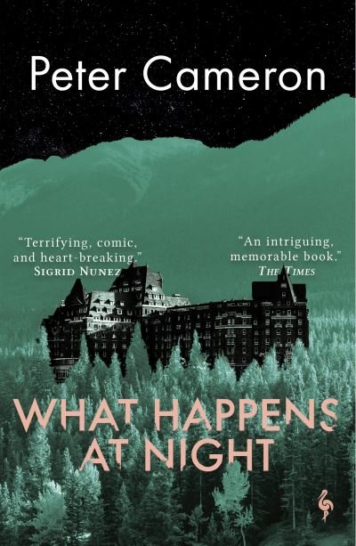 Cover for Peter Cameron · What Happens at Night (Paperback Book) (2022)