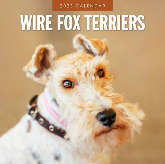 Cover for Red Robin · Wire Fox Terriers 2025 Square Wall Calendar (Paperback Bog) (2024)