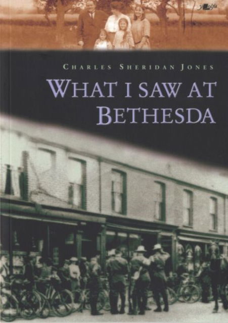 Cover for Charles Sheridan Jones · What I Saw at Bethesda (Paperback Book) (2024)