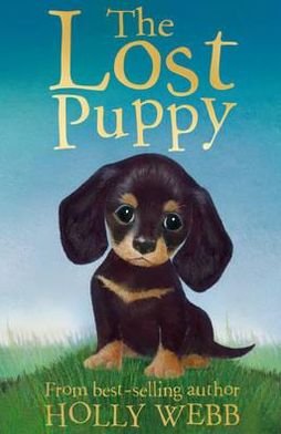 Cover for Holly Webb · The Lost Puppy - Holly Webb Animal Stories (Paperback Book) (2012)