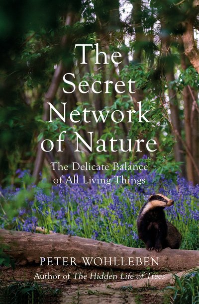 The Secret Network of Nature: The Delicate Balance of All Living Things - Peter Wohlleben - Livros - Vintage Publishing - 9781847925244 - 15 de setembro de 2018