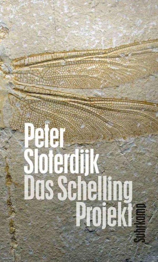 Cover for Sloterdijk · Das Schelling-Projekt (Book)