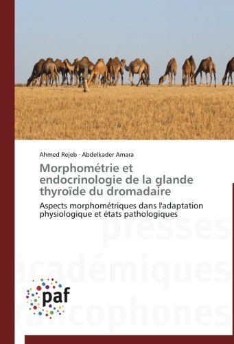 Cover for Abdelkader Amara · Morphométrie et Endocrinologie De La Glande Thyroïde Du Dromadaire (Paperback Book) [French edition] (2018)