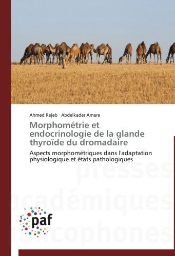 Cover for Abdelkader Amara · Morphométrie et Endocrinologie De La Glande Thyroïde Du Dromadaire (Taschenbuch) [French edition] (2018)