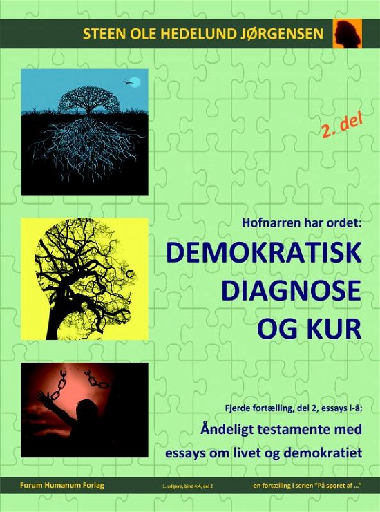 Cover for Steen Ole Hedelund Jørgensen · Demokratisk diagnose og kur (Paperback Book) (2020)