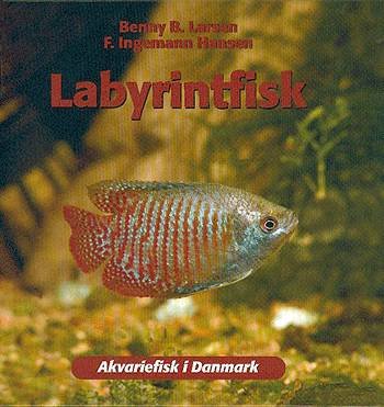 Akvariefisk i Danmark.: Labyrintfisk - F. Ingemann Hansen Benny B. Larsen - Bøger - Atelier - 9788778574244 - 24. februar 2004