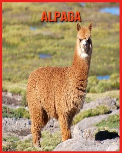 Cover for Linda Davis · Alpaga (Paperback Book) (2021)