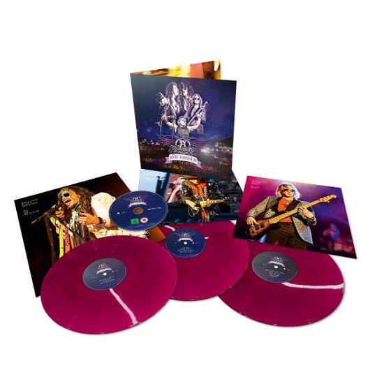 Cover for Aerosmith · Rocks Donington 2014 (LP/DVD) [2020 Reissue edition] (2020)