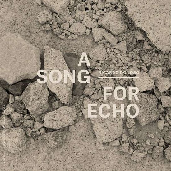 Song for Echo - Ricardo Donoso - Musik -  - 0616892223245 - 11. november 2014
