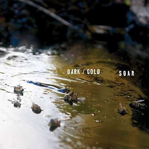 Cover for Soar · Dark / Gold (Kassette) (2017)
