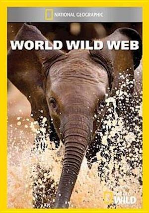 Cover for World Wild Web (DVD) (2013)