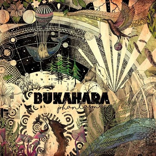 Cover for Bukahara · Phantasma (LP) (2020)