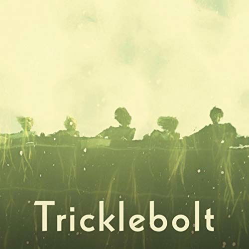 Cover for Tricklebolt (LP) (2018)