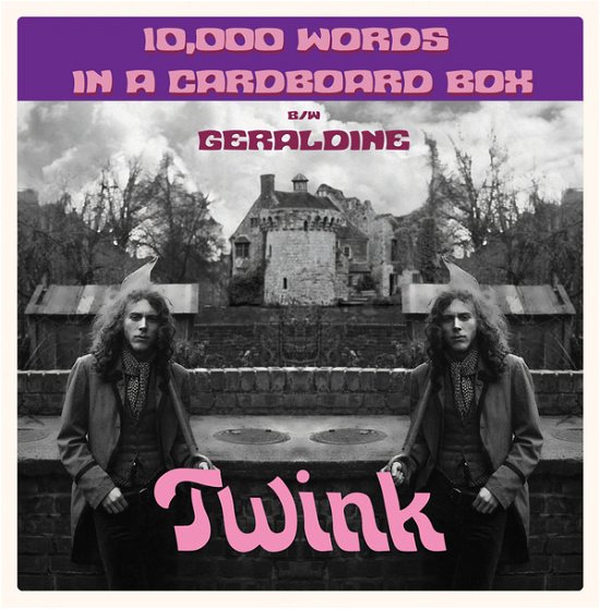 Cover for Twink · 10,000 Words In A Cardboard Box (LP) (2019)