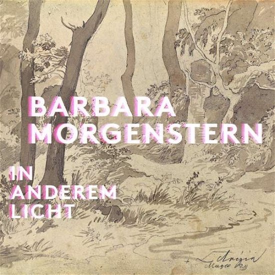 Cover for Barbara Morgenstern · In Anderem Licht (LP) (2024)