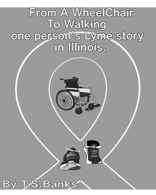 Cover for T S Banks · From a wheelchair to walking one person's Lyme story in Illinois. (Paperback Bog) (2018)