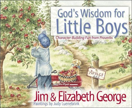 Cover for Jim George · God's Wisdom for Little Boys: Character-Building Fun from Proverbs (Inbunden Bok) (2002)