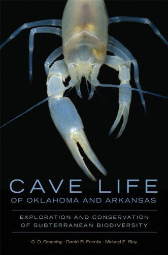 Cave Life of Oklahoma and Arkansas: Exploration and Conservation of Subterranean Biodiversity - Animal Natural History Series - G.O. Graening - Books - University of Oklahoma Press - 9780806144245 - August 30, 2013