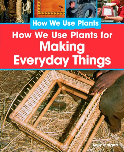 Cover for Sally Morgan · How We Use Plants for Making Everyday Things (Hardcover Book) (2008)