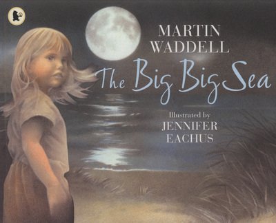 Cover for Martin Waddell · The Big Big Sea (Taschenbuch) (2009)