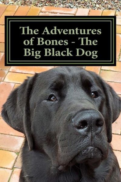 Cover for J Henry · The Adventures of Bones - the Big Black Dog: (Paperback Book) (2015)