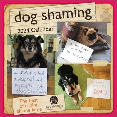 Cover for Pascale Lemire · Dog Shaming 2024 Wall Calendar (Calendar) (2023)