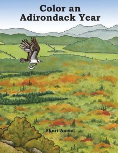 Cover for Sheri Amsel · Color an Adirondack Year (Taschenbuch) (2017)