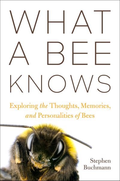 Cover for Stephen L Buchmann · What a Bee Knows: Exploring the Thoughts, Memories, and Personalities of Bees (Innbunden bok) (2023)