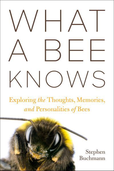 Cover for Stephen L Buchmann · What a Bee Knows: Exploring the Thoughts, Memories, and Personalities of Bees (Hardcover Book) (2023)