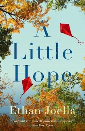 Cover for Ethan Joella · A Little Hope (Paperback Book) (2023)