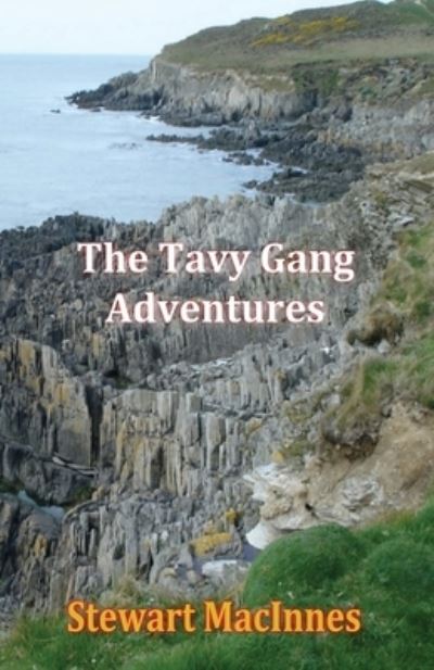 Cover for Stewart MacInnes · The Tavy Gang Adventures (Paperback Book) (2021)