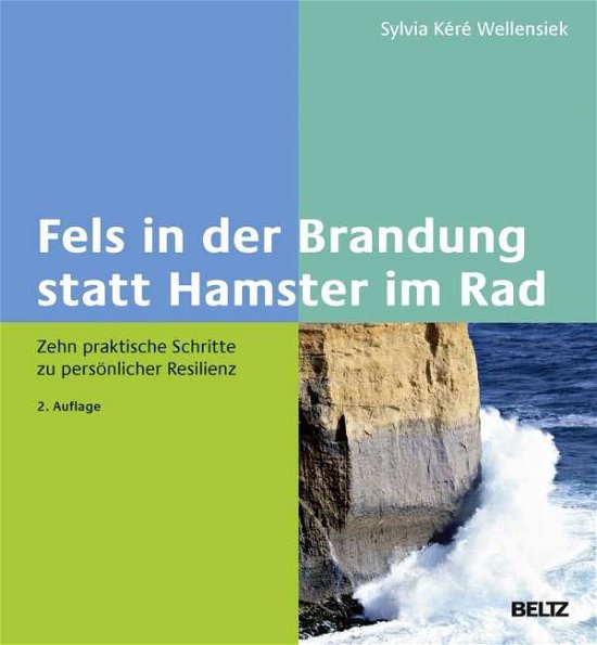 Cover for Wellensiek · Fels in der Brandung statt H (Book)