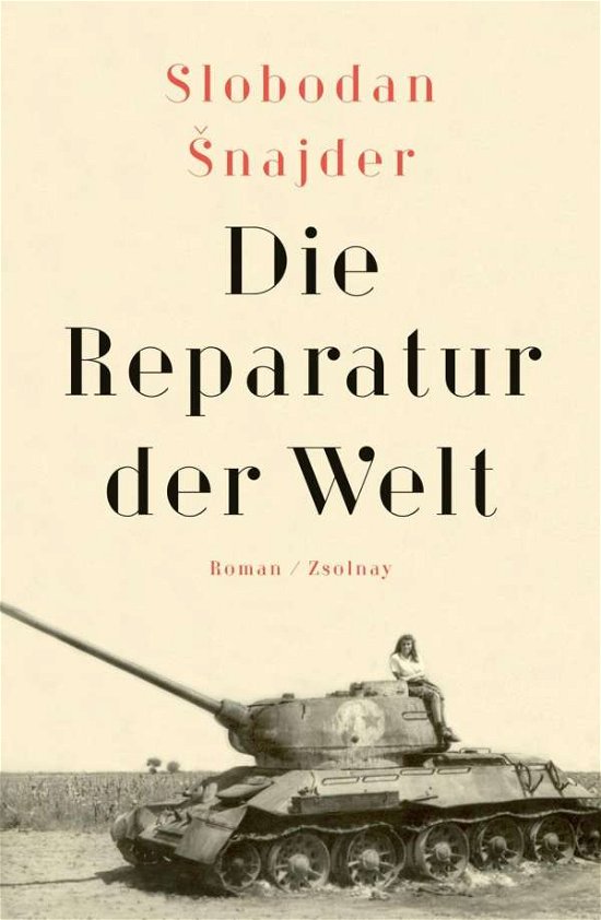 Cover for Snajder · Die Reparatur der Welt (Bog)