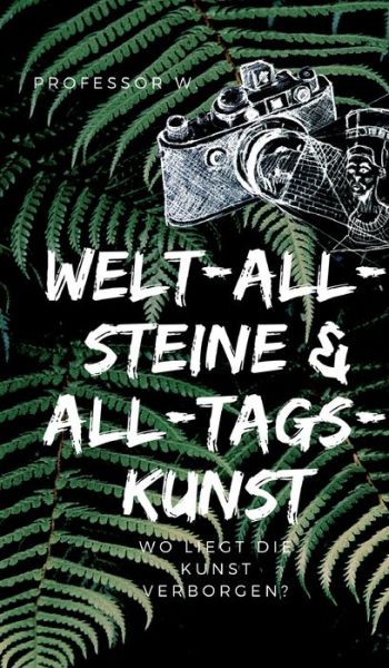 Cover for Professor W · Welt-All-Steine &amp; All-Tags-Kunst (Hardcover bog) (2021)