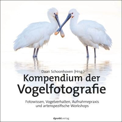 Cover for Daan Schoonhoven · Kompendium der Vogelfotografie (Buch) (2022)