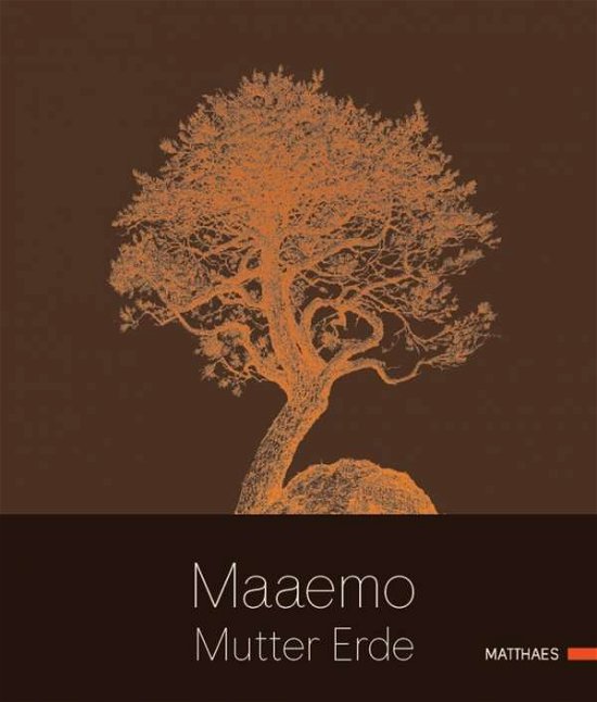 Cover for Bang · Maaemo (Buch)