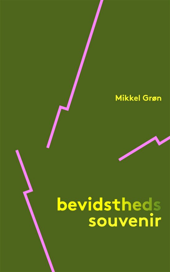 Cover for Mikkel Grøn · Bevidstheds souvenir (Paperback Bog) (2017)