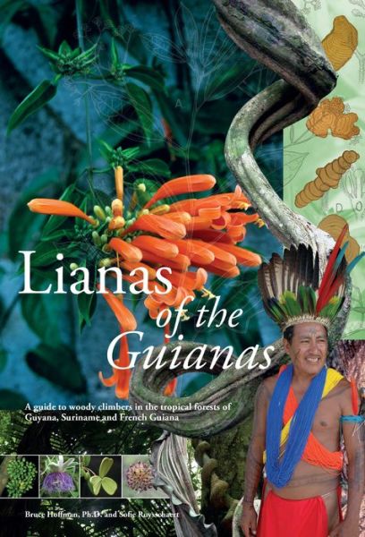 Cover for Bruce Hoffman · Lianas of the Guianas: A Fieldguide to Woody Climbers in the Tropical Forests of Guyana, Suriname and French Guyana (Gebundenes Buch) (2017)