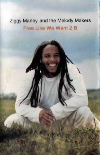 Cover for Ziggy Marley and the Melody Makers · Free Like We Wa (MISC)