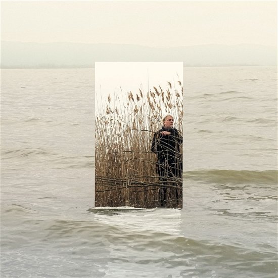 Cover for Paolo Benvegnu · E' Inutile Parlare D'Amore (LP) (2024)