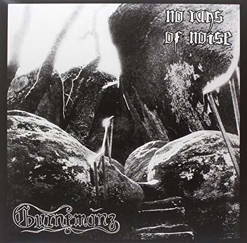 No Rays Of Noise - Gurnemanz - Muziek - MISSING VINYL - 0609613168246 - 28 juni 2012