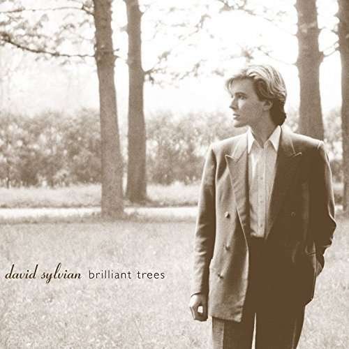 Cover for David Sylvian · Brilliant Trees (CD) [Japan Import edition] (2015)