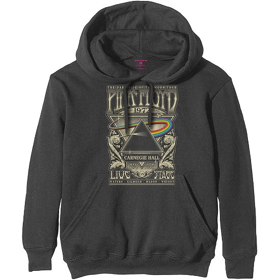 Cover for Pink Floyd · Pink Floyd Unisex Pullover Hoodie: Carnegie Hall Poster (Hoodie) [size S] [Grey - Unisex edition] (2019)