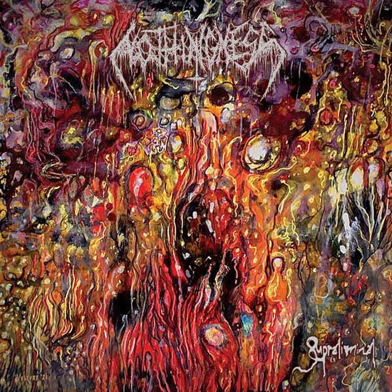 Nothingness · Supraliminal (CD) (2024)